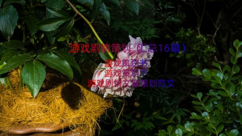 游戏剧情策划（汇总16篇）