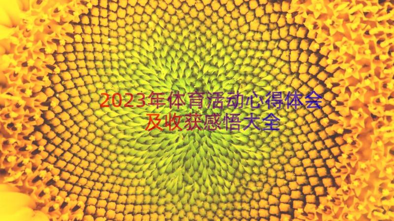 2023年体育活动心得体会及收获感悟大全（16篇）