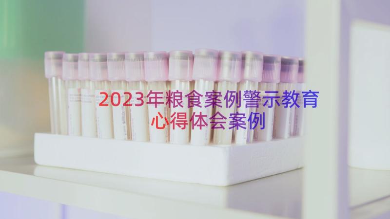 2023年粮食案例警示教育心得体会（案例18篇）