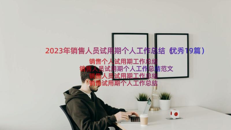 2023年销售人员试用期个人工作总结（优秀19篇）