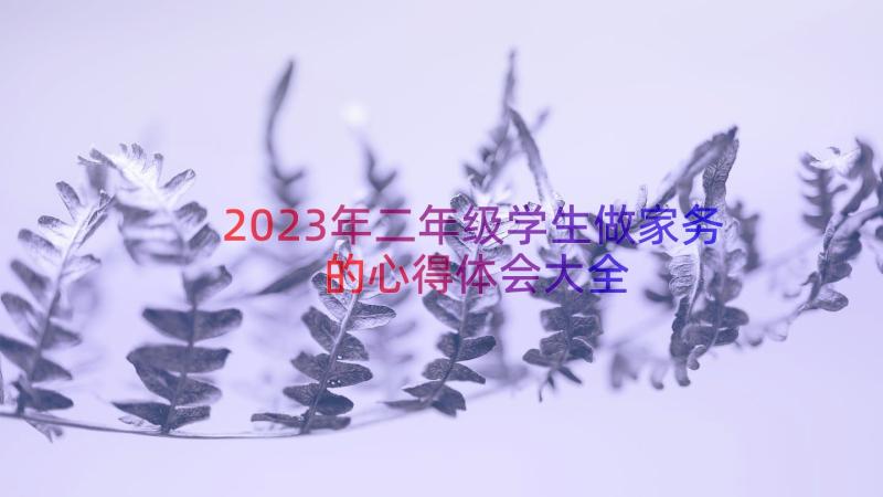 2023年二年级学生做家务的心得体会大全（17篇）