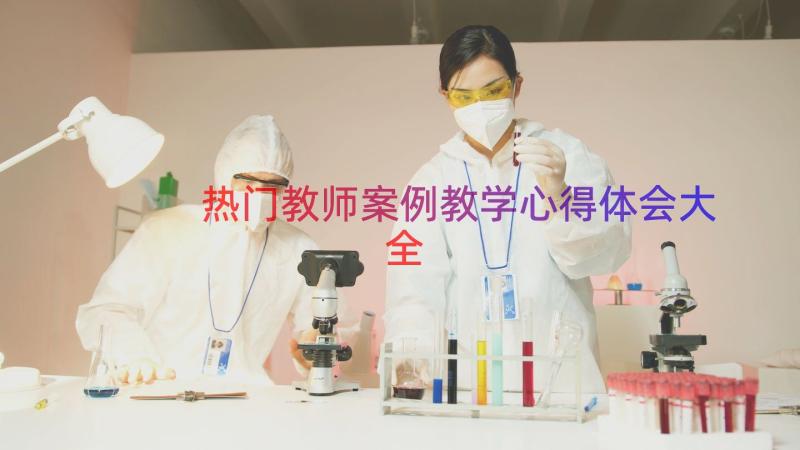 热门教师案例教学心得体会大全（19篇）