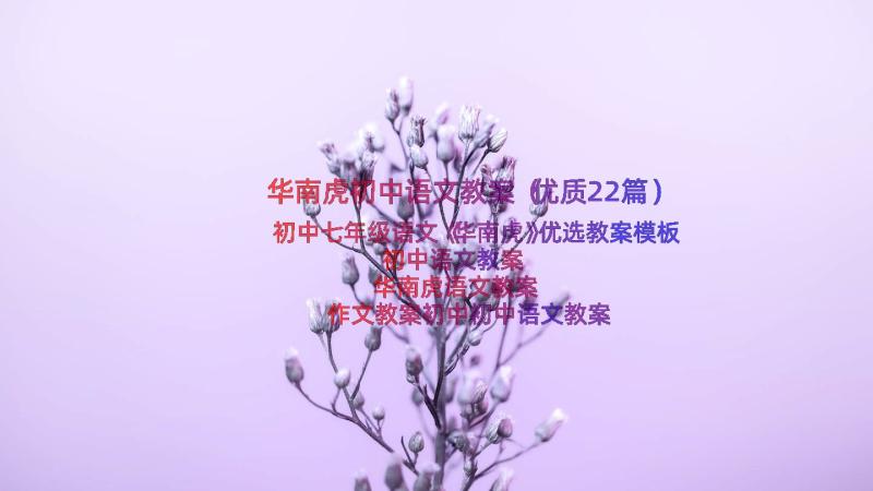 华南虎初中语文教案（优质22篇）