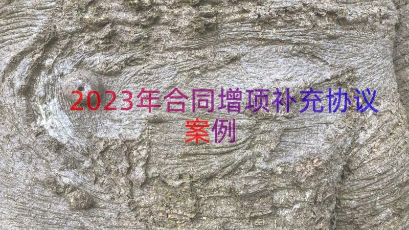 2023年合同增项补充协议（案例13篇）