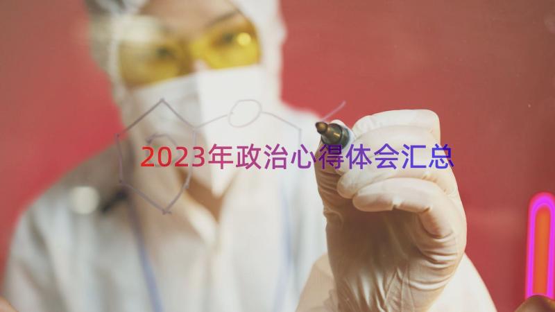 2023年政治心得体会（汇总16篇）