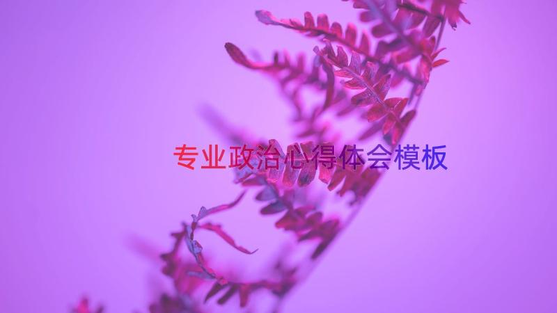 专业政治心得体会（模板14篇）