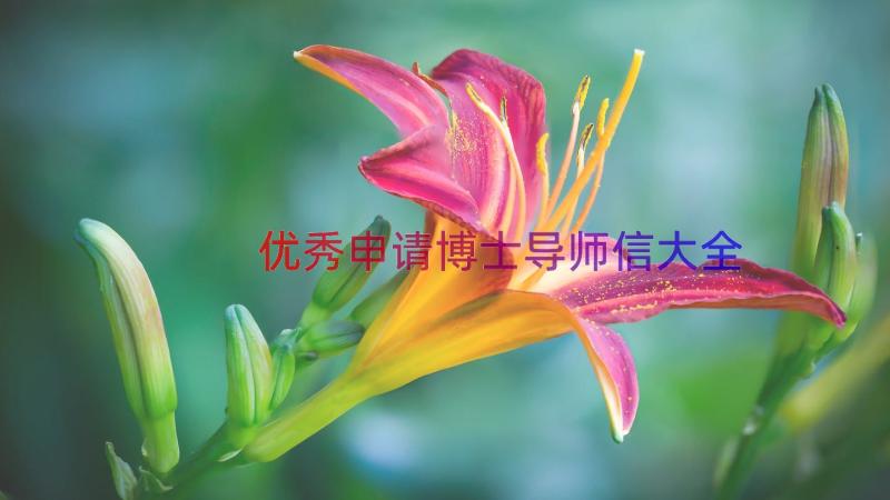 优秀申请博士导师信大全（14篇）