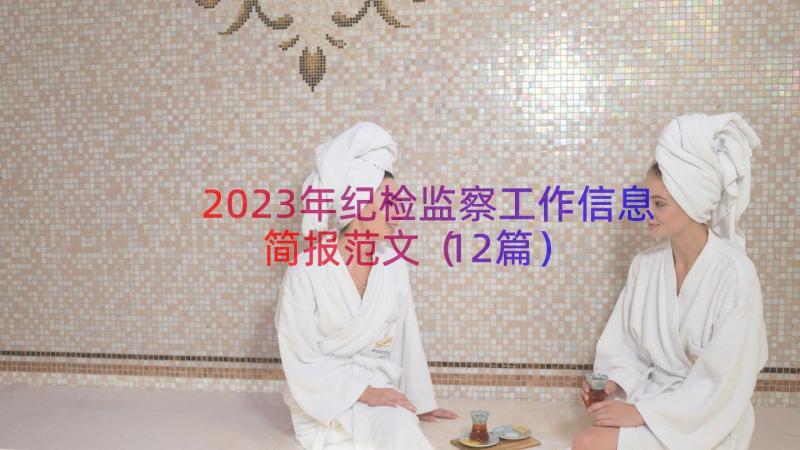 2023年纪检监察工作信息简报范文（12篇）