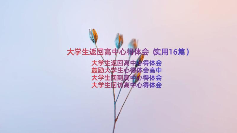 大学生返回高中心得体会（实用16篇）