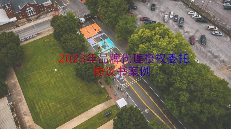 2023年品牌代理授权委托协议书（案例13篇）