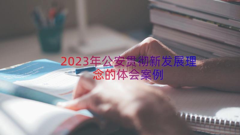 2023年公安贯彻新发展理念的体会（案例14篇）