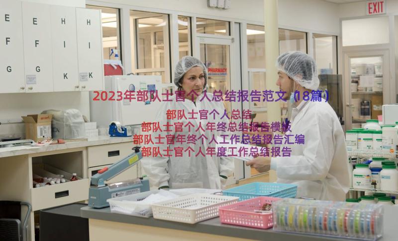 2023年部队士官个人总结报告范文（18篇）