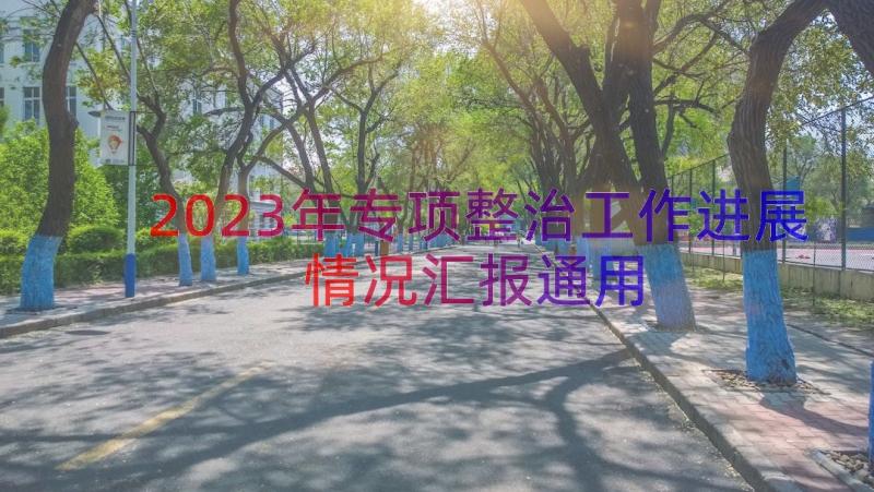 2023年专项整治工作进展情况汇报（通用16篇）