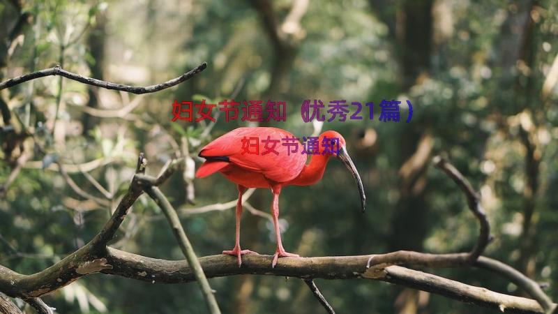 妇女节通知（优秀21篇）