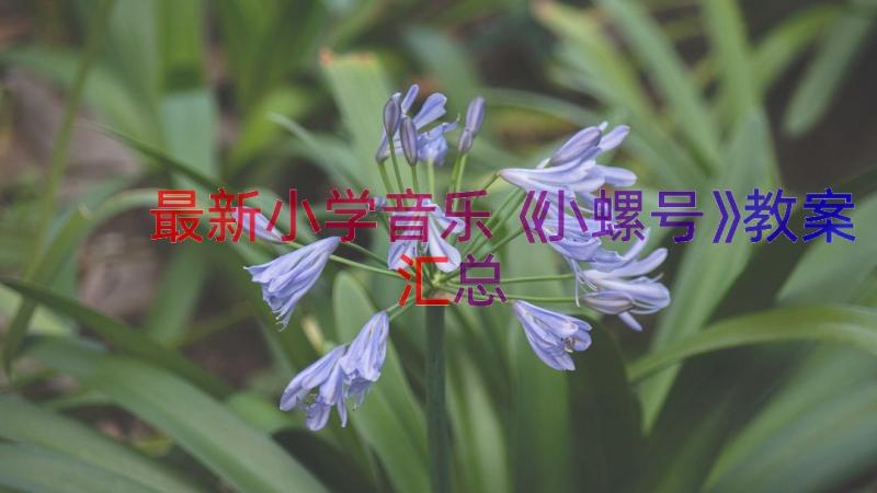 最新小学音乐《小螺号》教案（汇总16篇）