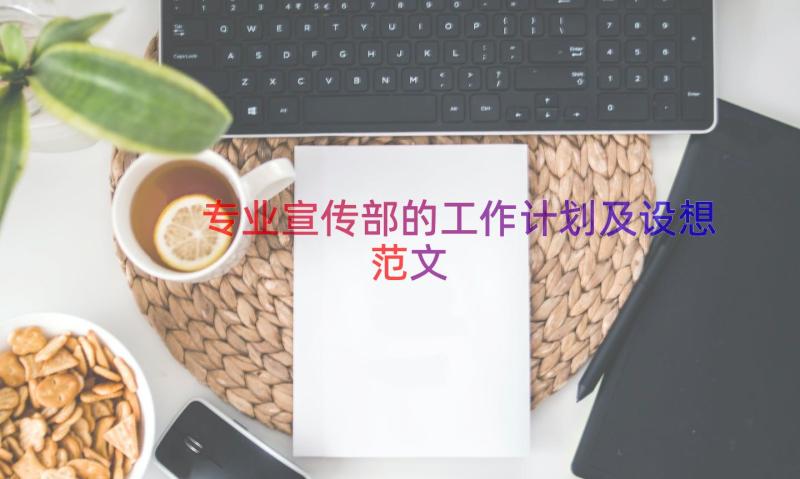 专业宣传部的工作计划及设想范文（18篇）