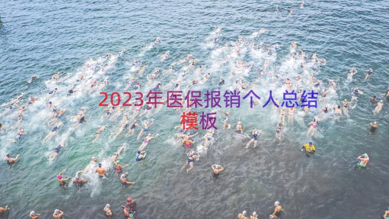 2023年医保报销个人总结（模板18篇）