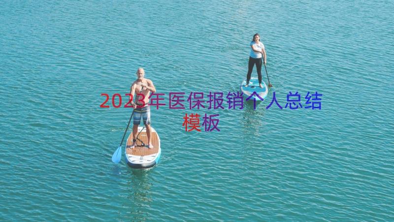 2023年医保报销个人总结（模板19篇）