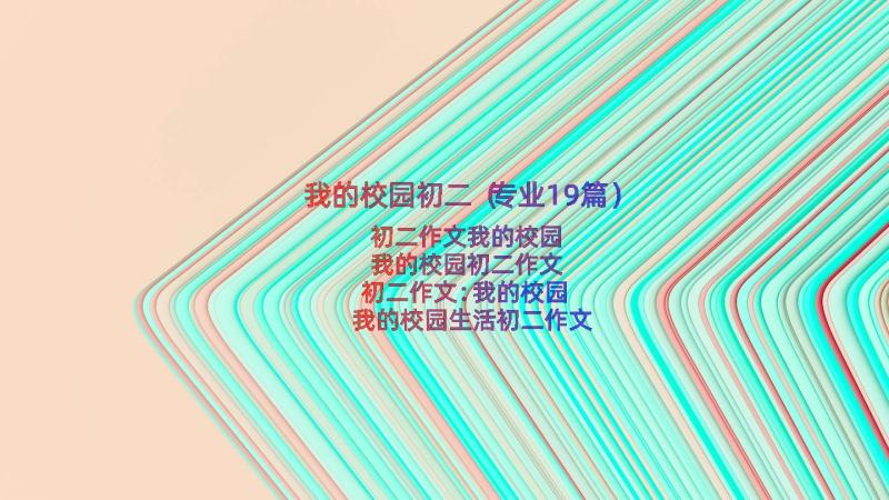 我的校园初二（专业19篇）