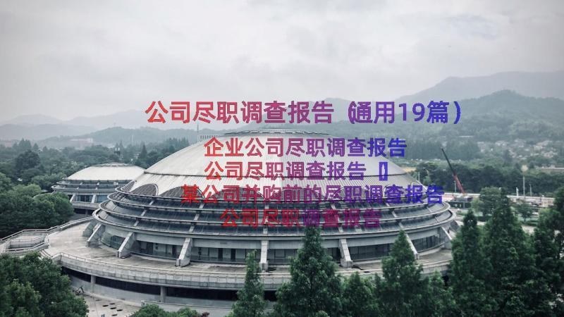 公司尽职调查报告（通用19篇）