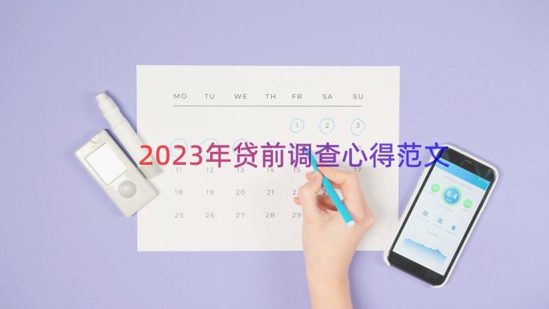 2023年贷前调查心得范文（18篇）