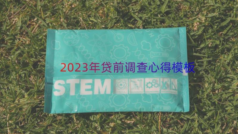 2023年贷前调查心得（模板15篇）