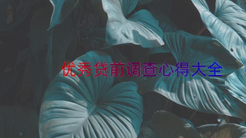 优秀贷前调查心得大全（19篇）