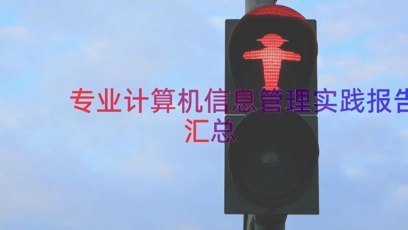 专业计算机信息管理实践报告（汇总18篇）