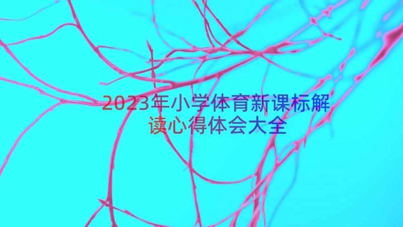 2023年小学体育新课标解读心得体会大全（16篇）