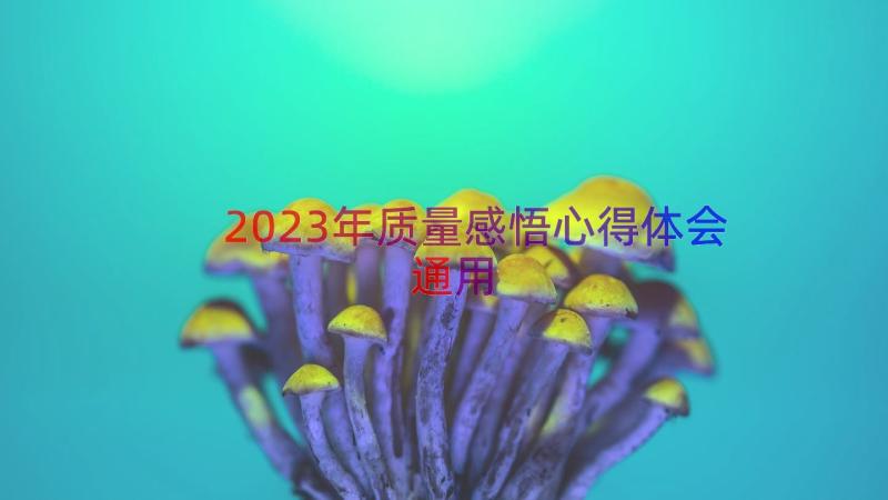 2023年质量感悟心得体会（通用19篇）