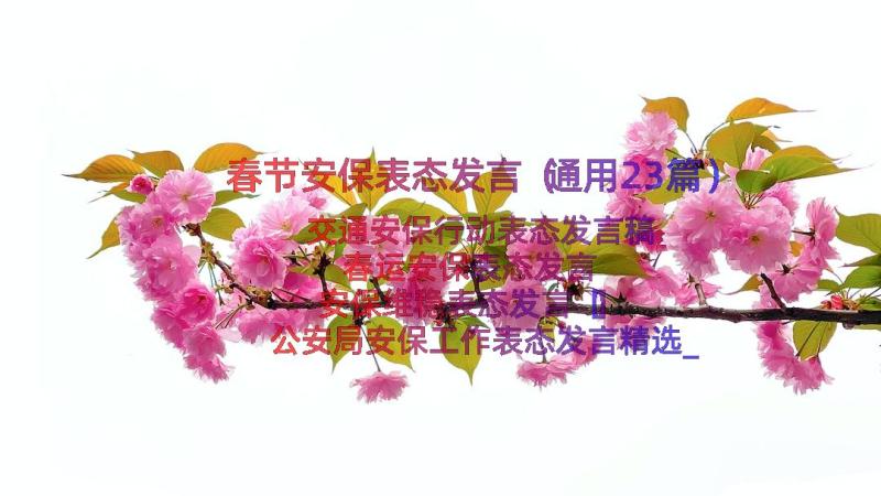 春节安保表态发言（通用23篇）