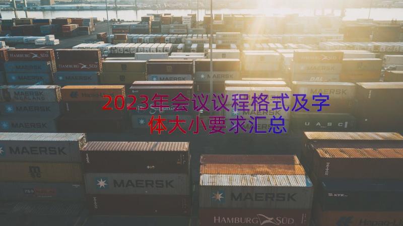 2023年会议议程格式及字体大小要求（汇总18篇）