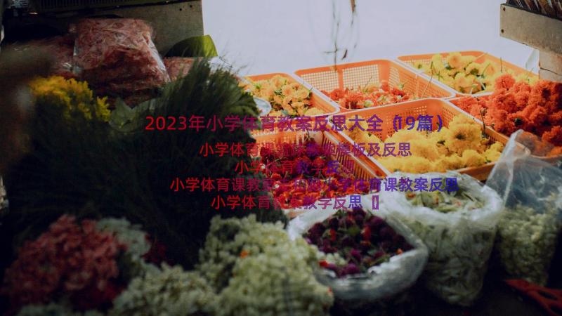 2023年小学体育教案反思大全（19篇）