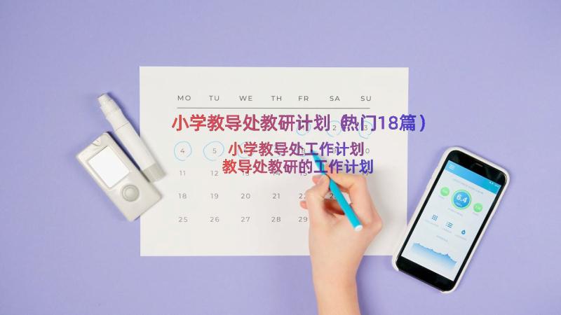 小学教导处教研计划（热门18篇）