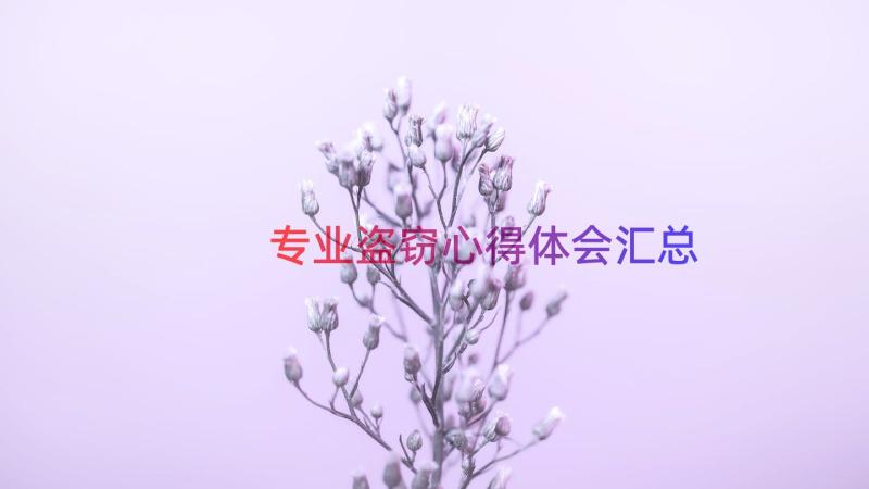 专业盗窃心得体会（汇总16篇）