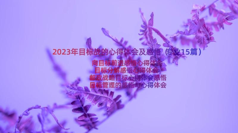 2023年目标战的心得体会及感悟（专业15篇）