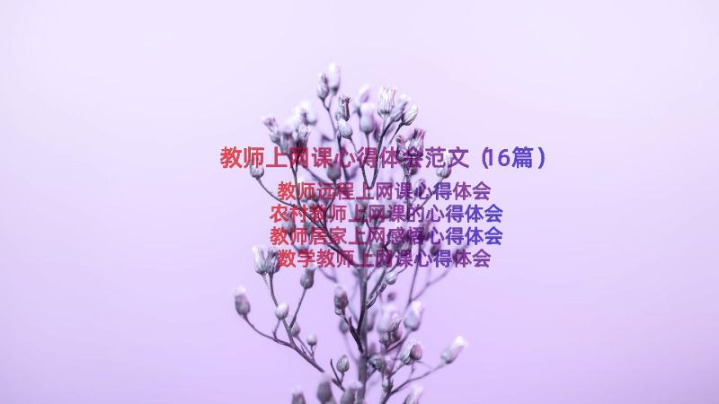 教师上网课心得体会范文（16篇）