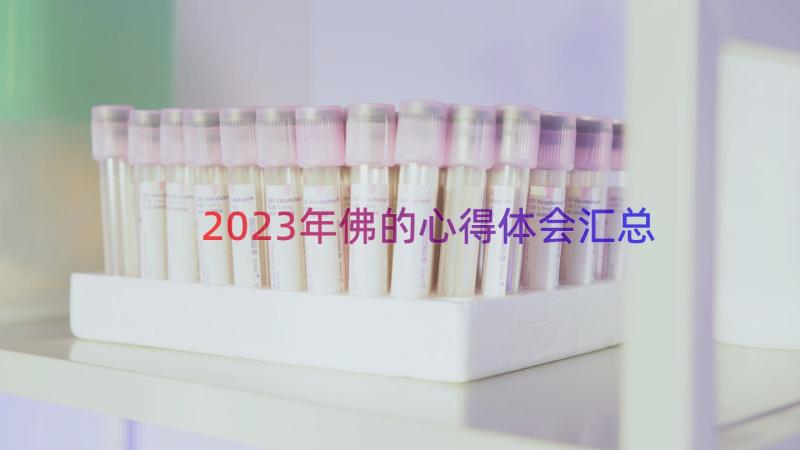 2023年佛的心得体会（汇总12篇）