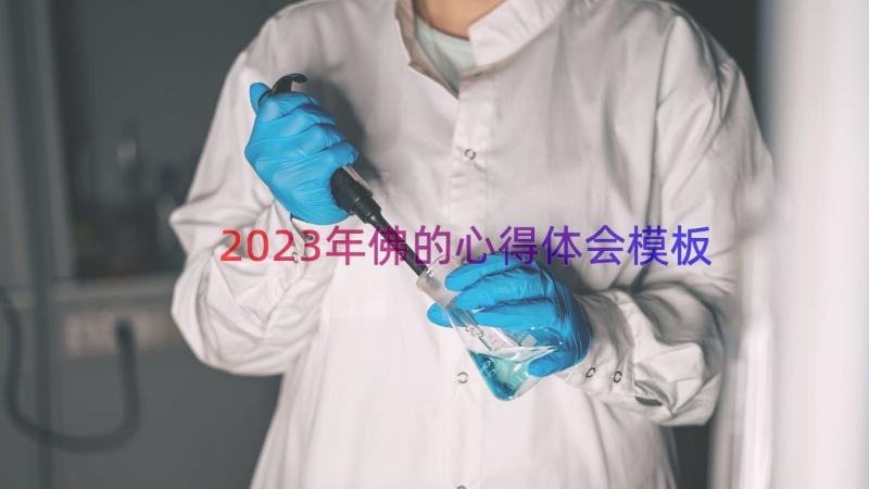 2023年佛的心得体会（模板19篇）