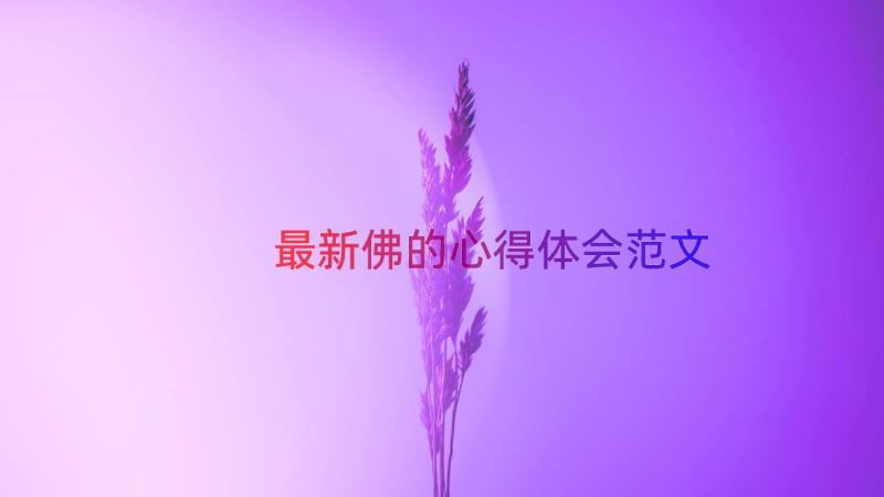 最新佛的心得体会范文（16篇）