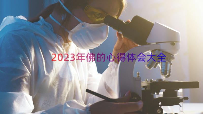 2023年佛的心得体会大全（12篇）