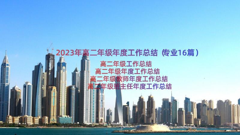 2023年高二年级年度工作总结（专业16篇）