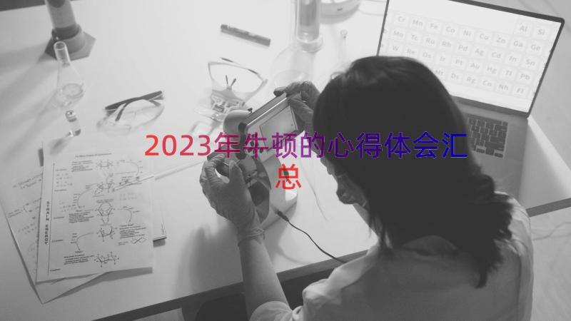 2023年牛顿的心得体会（汇总15篇）