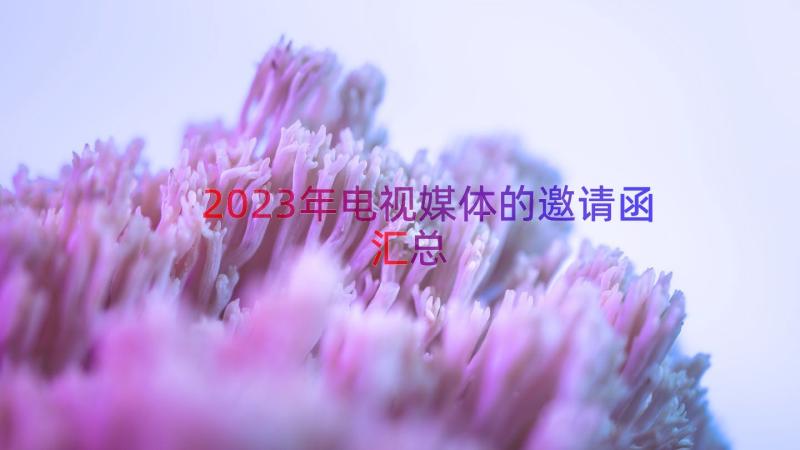 2023年电视媒体的邀请函（汇总15篇）