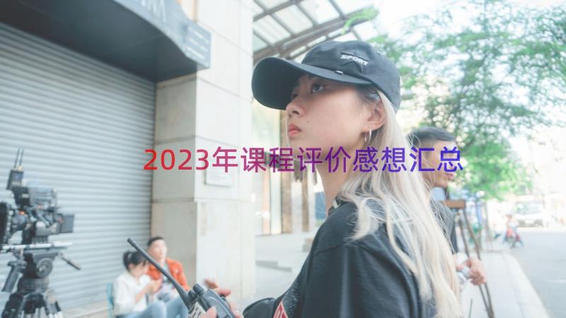 2023年课程评价感想（汇总18篇）