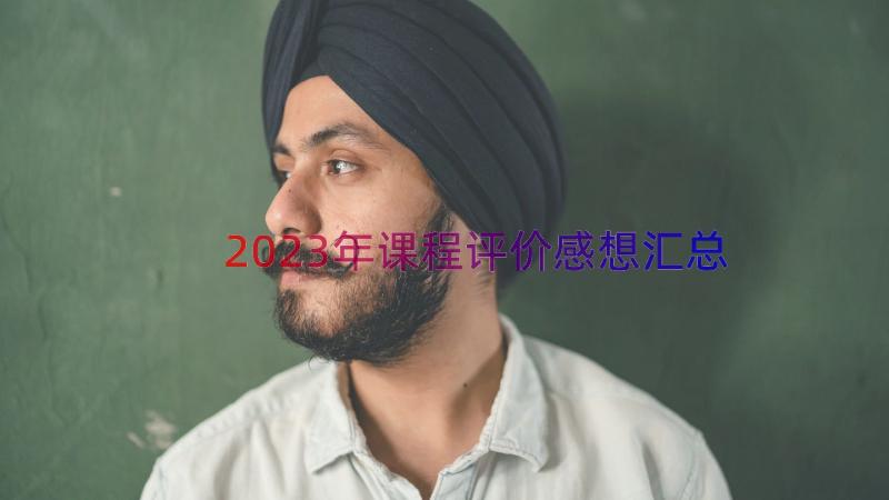 2023年课程评价感想（汇总17篇）