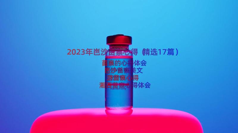 2023年岜沙苗寨心得（精选17篇）