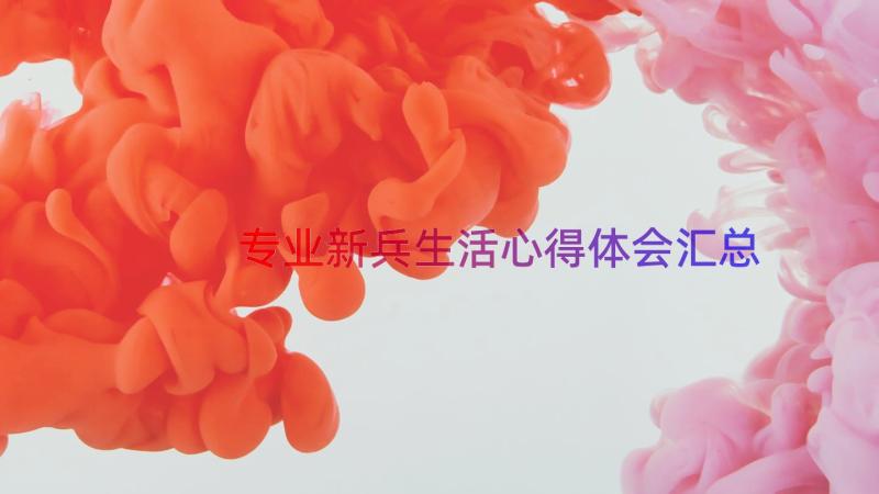 专业新兵生活心得体会（汇总13篇）