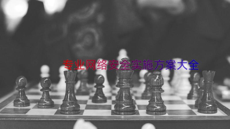 专业网络安全实施方案大全（18篇）