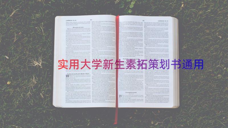 实用大学新生素拓策划书（通用16篇）